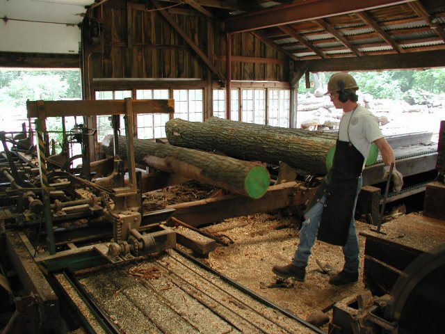 Cutting Wood